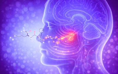 Ipamorelin – sanfter Kick für dein Wachstumshormon-System